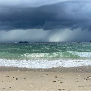 Meet your Posher, Darla